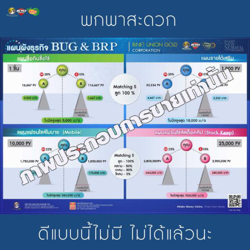 Business Structure Chart