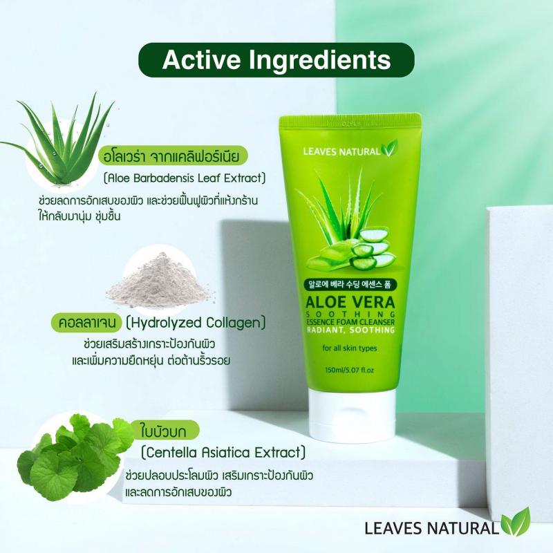 LEAVES NATURAL ALOE VERA SOOTHING ESSENCE FOAM CLEANSER