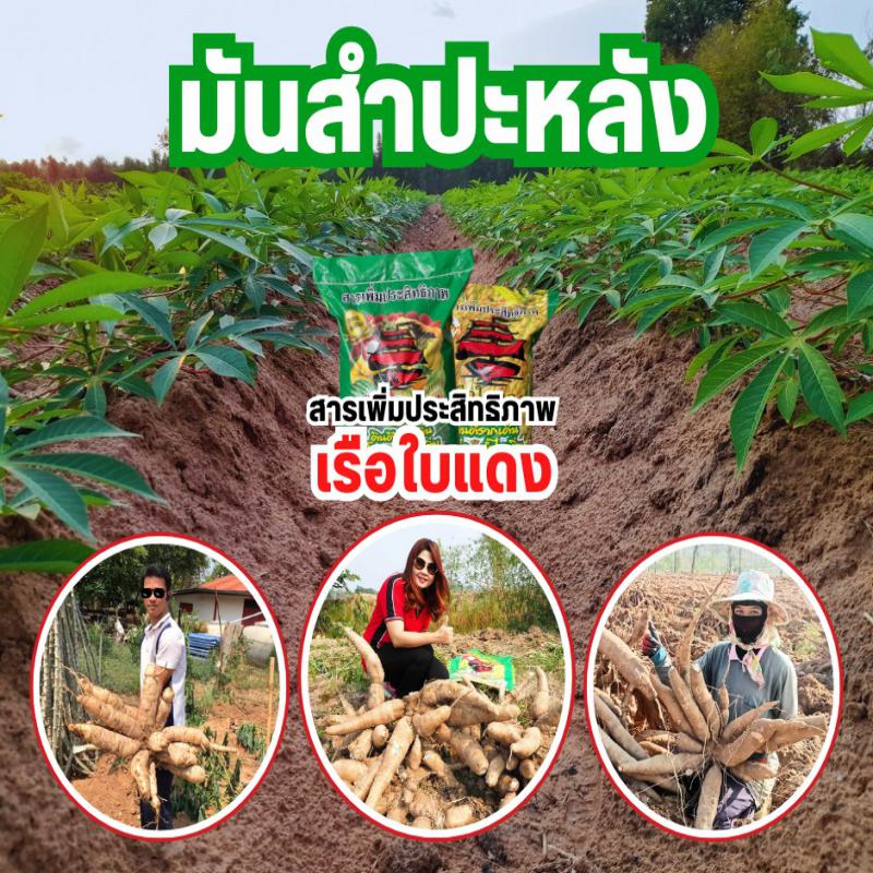 สารเพิ่มประสิทธิภาพ ตราเรือใบแดง