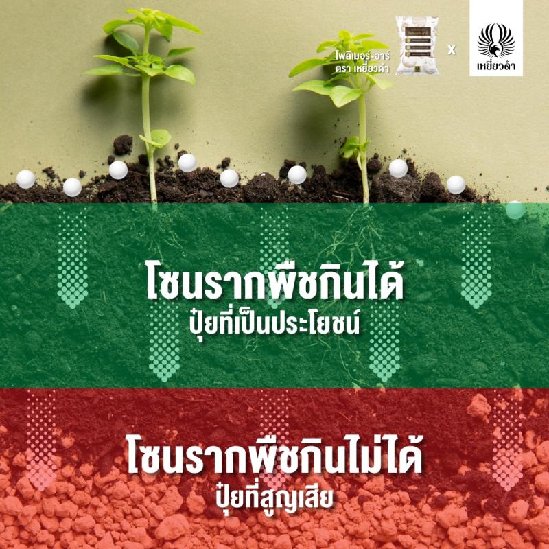 ปุ๋ยเคมีสูตร 19-7-28ปุ๋ยพรีเมี่ยมตราเหยี่ยวดำ [โปรดติดต่อเจ้าหน้าที่]