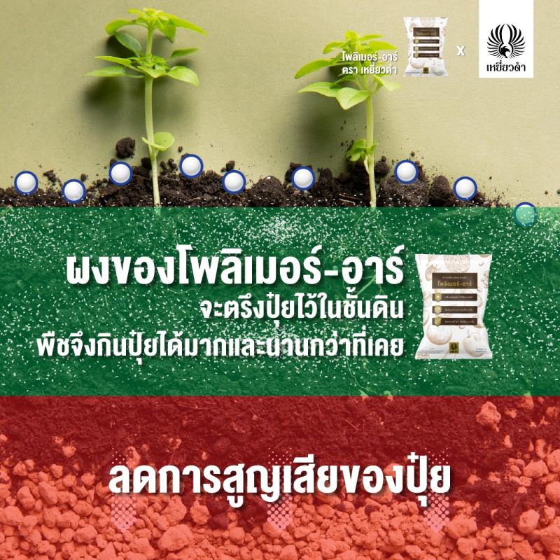 ปุ๋ยเคมีสูตร 10-3-10 เคลือบสารตรึงปุ๋ยตราเหยี่ยวดำ [โปรดติดต่อเจ้าหน้าที่]