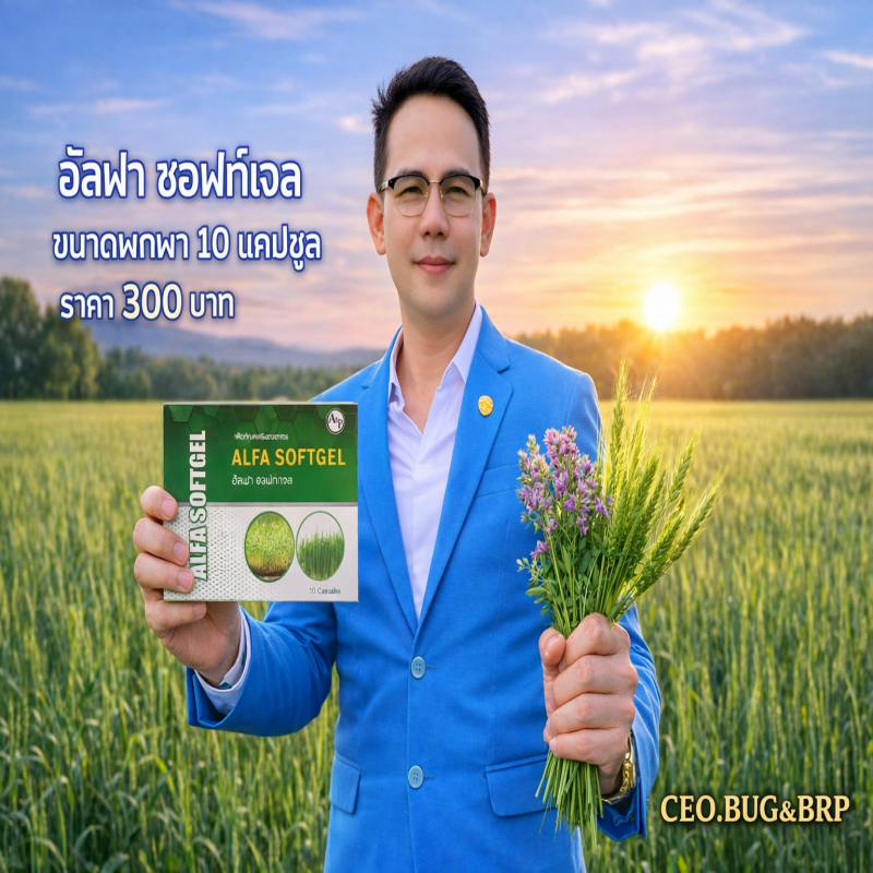อัลฟาซอฟท์เจล alfa soft gel  ขนาด10แคปซูล