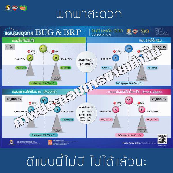 ผังโครงสร้างธุรกิจ