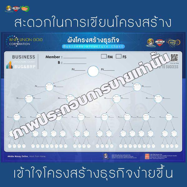 ผังโครงสร้างธุรกิจ