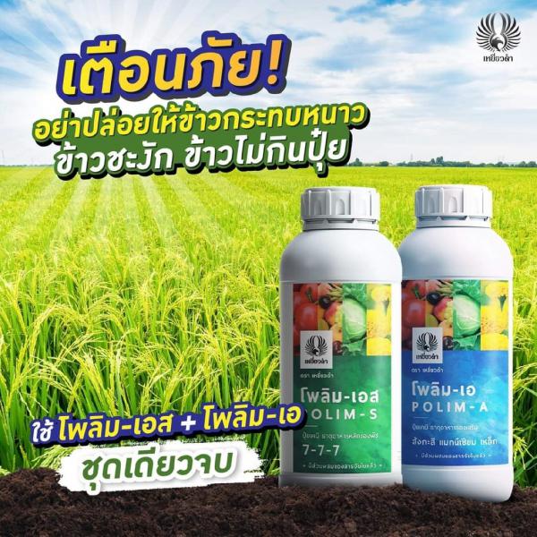 โพลิม-เอ ขนาด 500ซี.ซี.