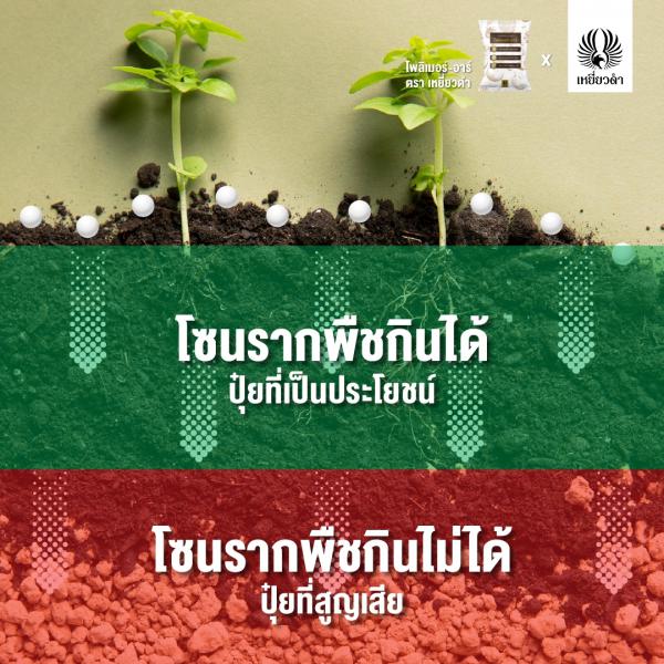 ปุ๋ยเคมีสูตร 10-3-10 เคลือบสารตรึงปุ๋ยตราเหยี่ยวดำ [โปรดติดต่อเจ้าหน้าที่]