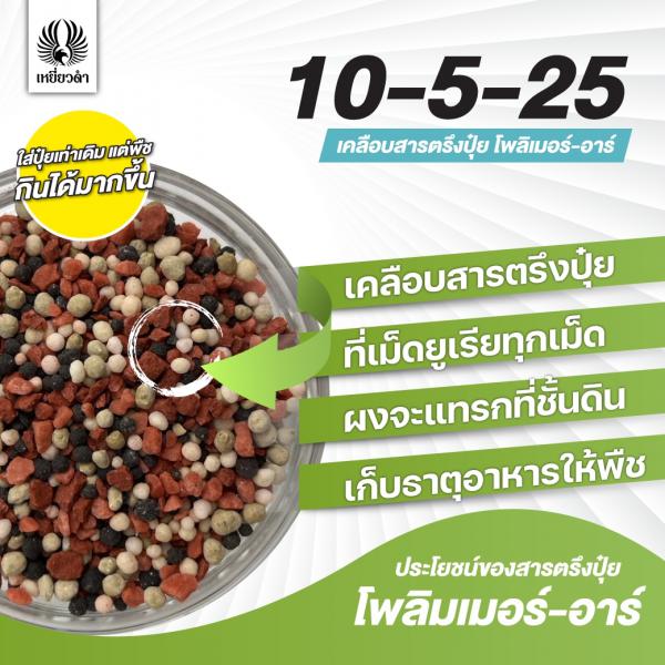 ปุ๋ยเคมีสูตร 10-5-25 เคลือบสารตรึงปุ๋ยตราเหยี่ยวดำ[โปรดติดต่อเจ้าหน้าที่]